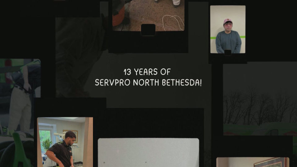 Company Birthday Reel